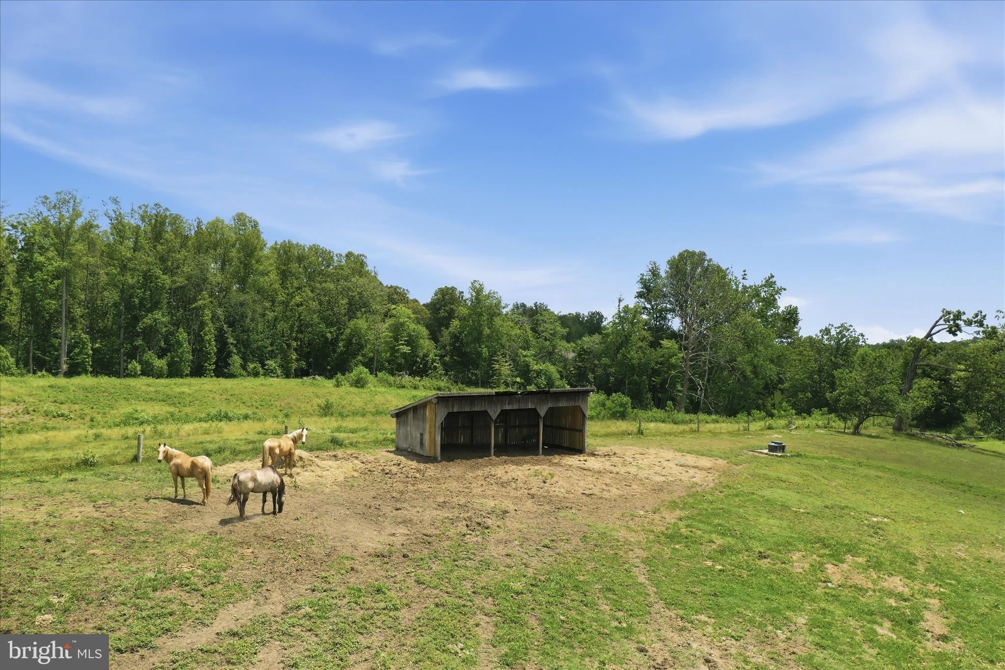 59 Harry Settle Road Castleton, VA 22716 - Photo 64 of 84