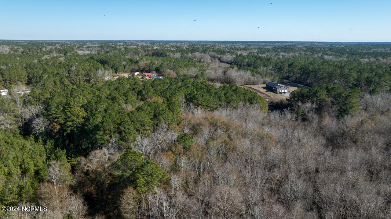 91 Rockfish Lake Road Maple Hill, NC 28454 - Photo 11 of 69 11