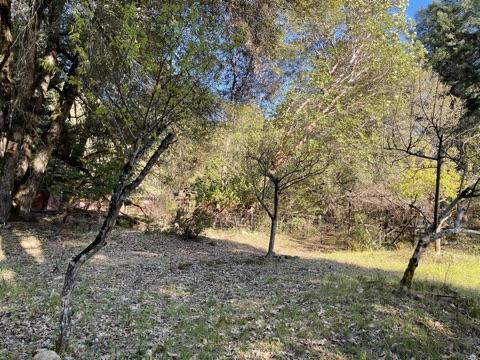 38 Big Oak Road Burnt Ranch, CA 95527 - Photo 2 of 5