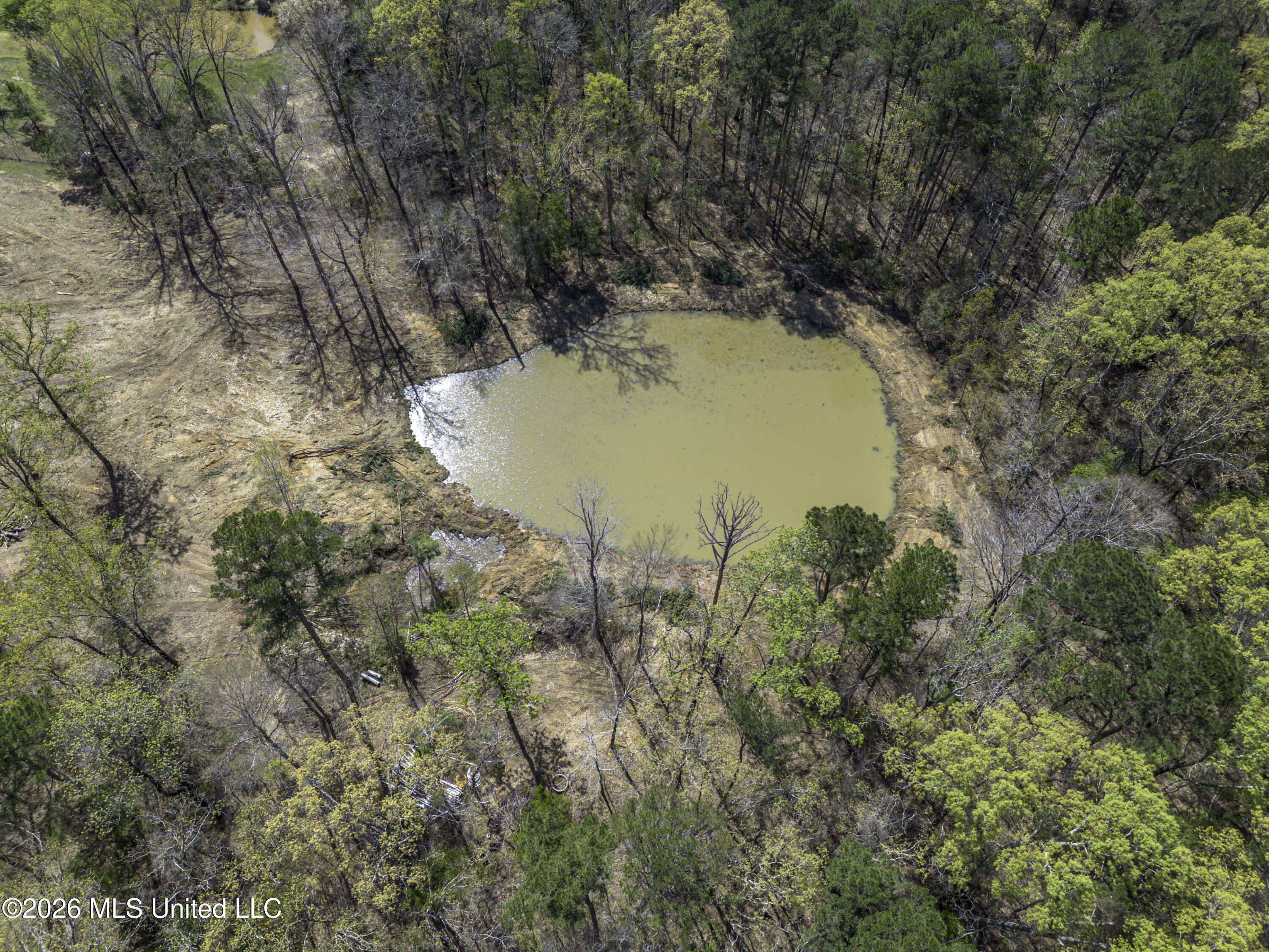 Warner Drive Brandon, MS 39042 - Photo 21 of 28 Warner Dr Drone-0654
