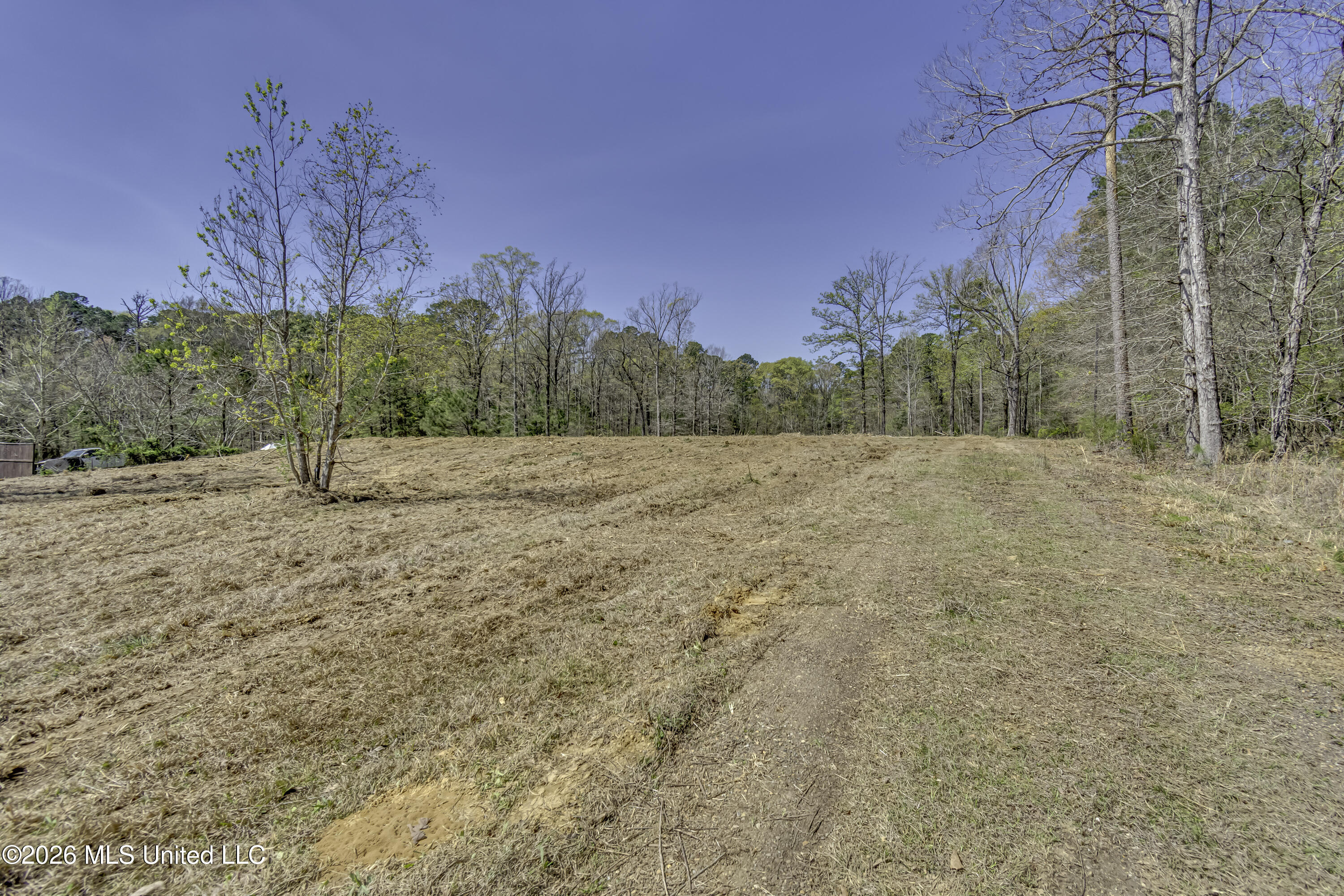 Warner Drive Brandon, MS 39042 - Photo 5 of 28 Warner Dr--3