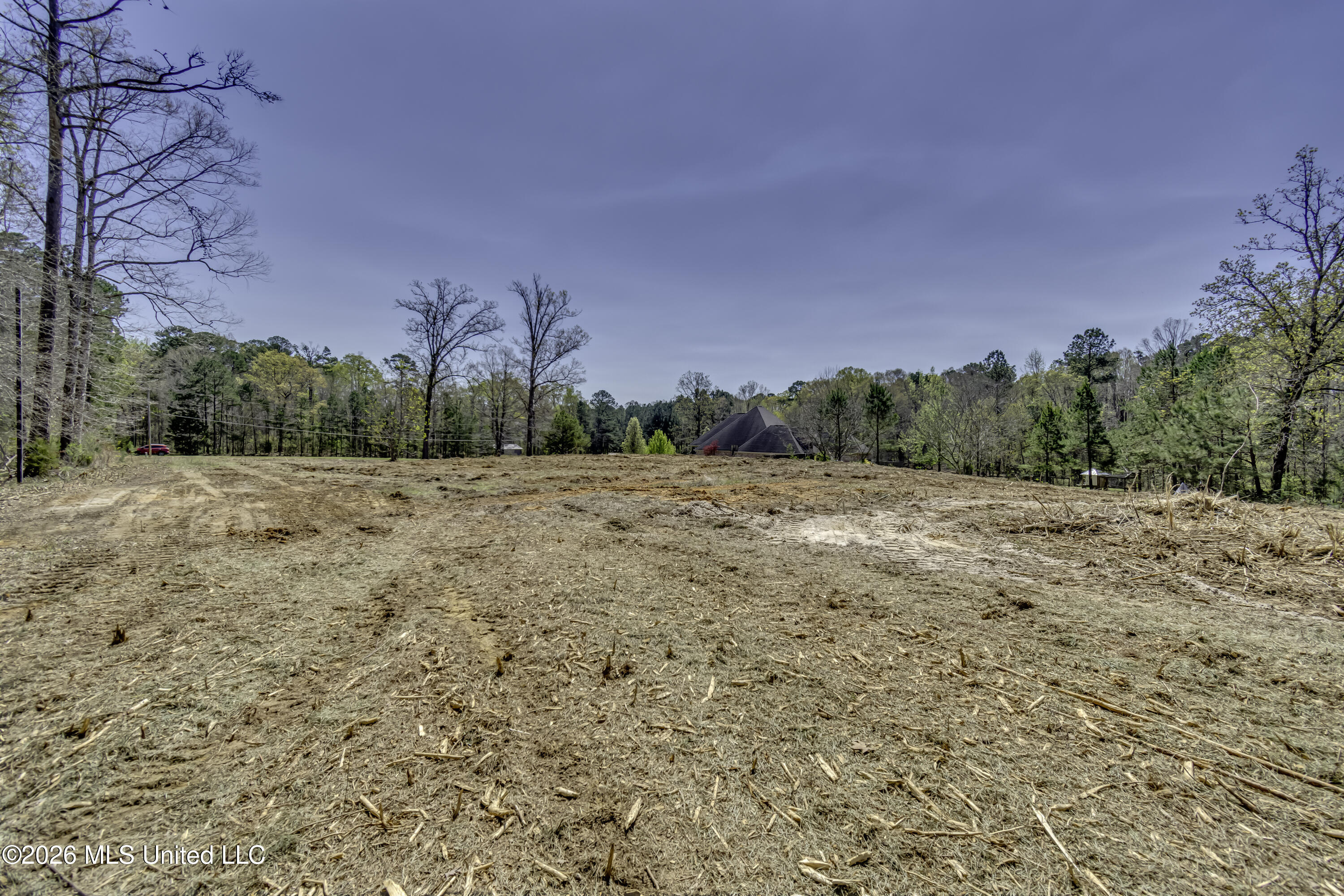 Warner Drive Brandon, MS 39042 - Photo 6 of 28 Warner Dr--4
