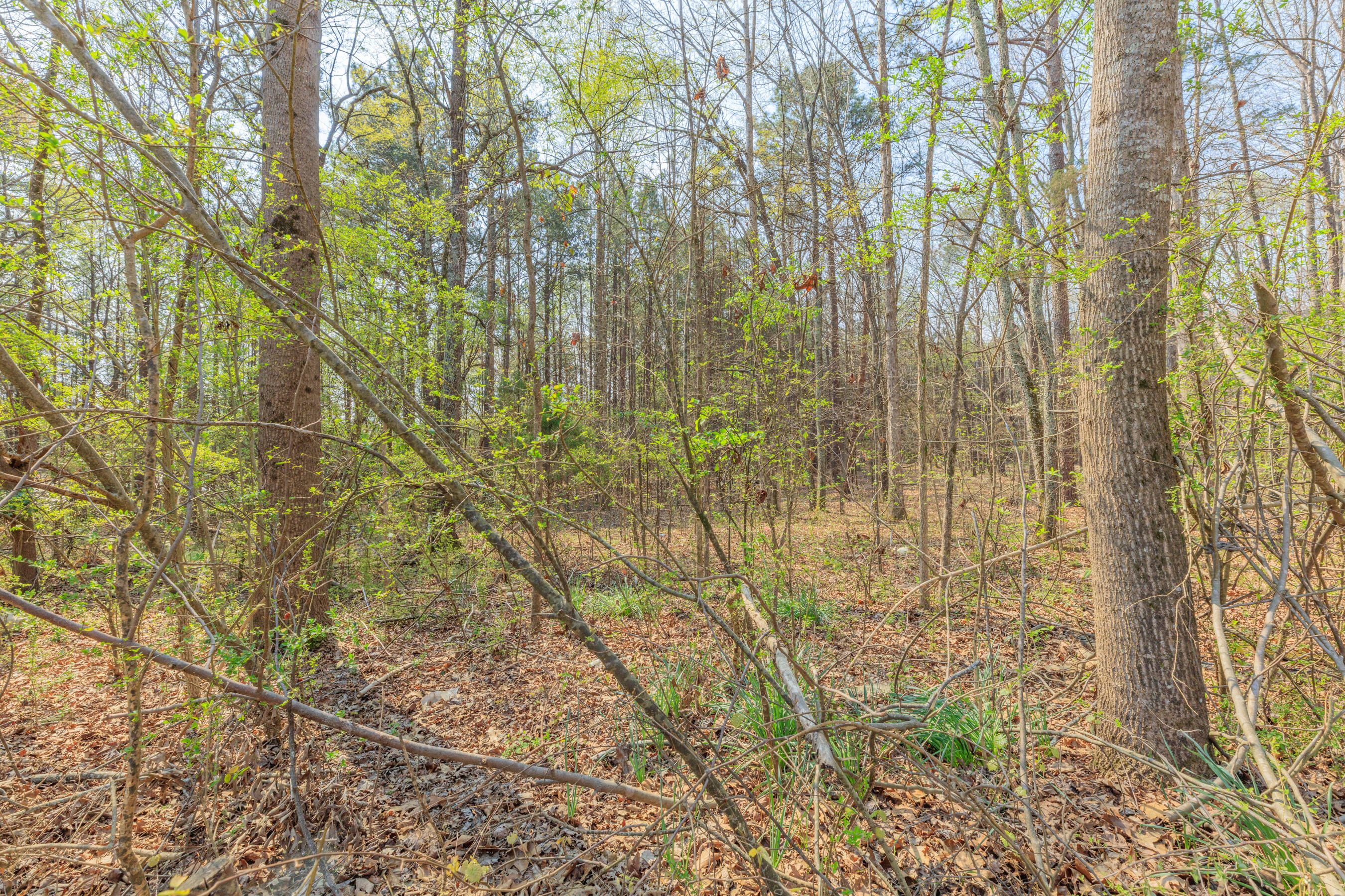 177 West Reed Road LaFayette, GA 30728 - Photo 34 of 36 177 W Reed HD-14