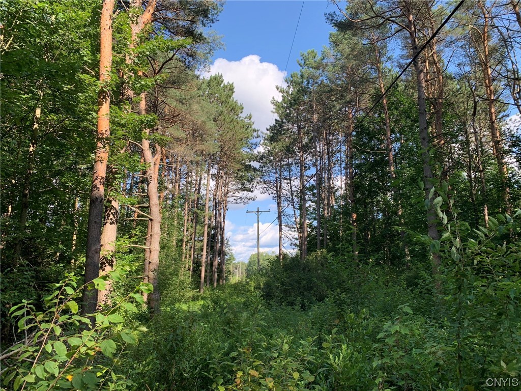 0 French Settlement Road Harrisville, NY 13648 - Photo 11 of 30 Electric Utility Right of Way