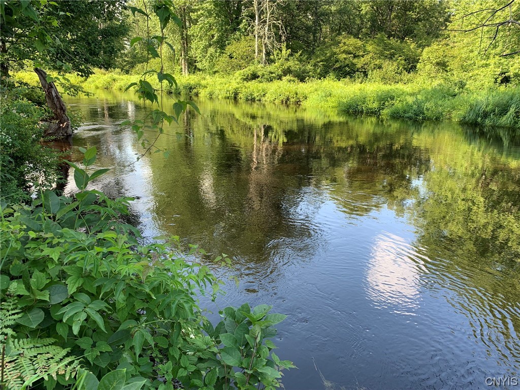 0 French Settlement Road Harrisville, NY 13648 - Photo 2 of 30 River Shoreline