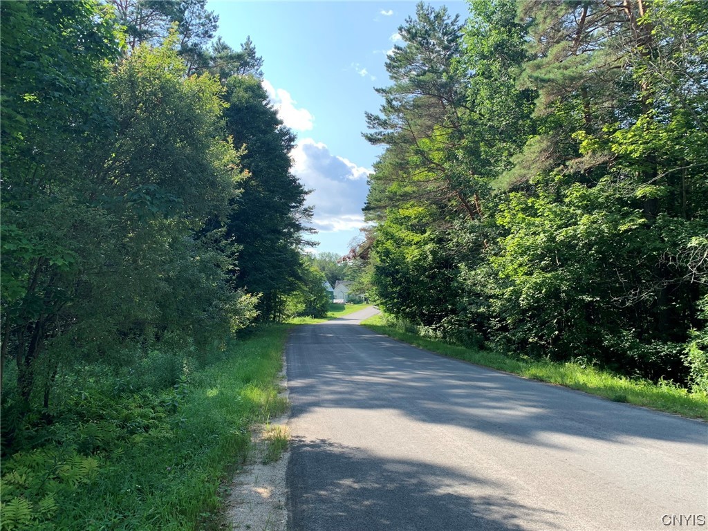 0 French Settlement Road Harrisville, NY 13648 - Photo 30 of 30 French Settlement Road West