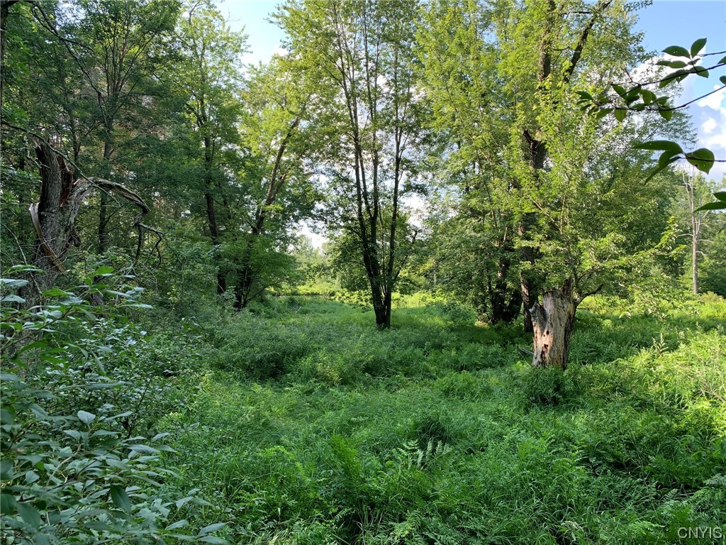 0 French Settlement Road Harrisville, NY 13648 - Photo 3 of 30 River Flood Plain
