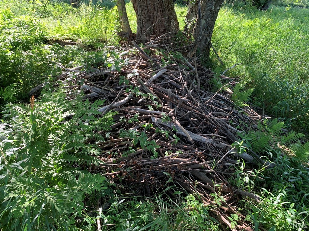 0 French Settlement Road Harrisville, NY 13648 - Photo 4 of 30 Bank Beaver Lodge