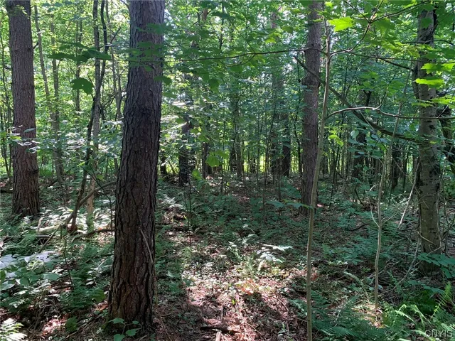 $49,900 | 0 French Settlement Road, Harrisville, NY 13648