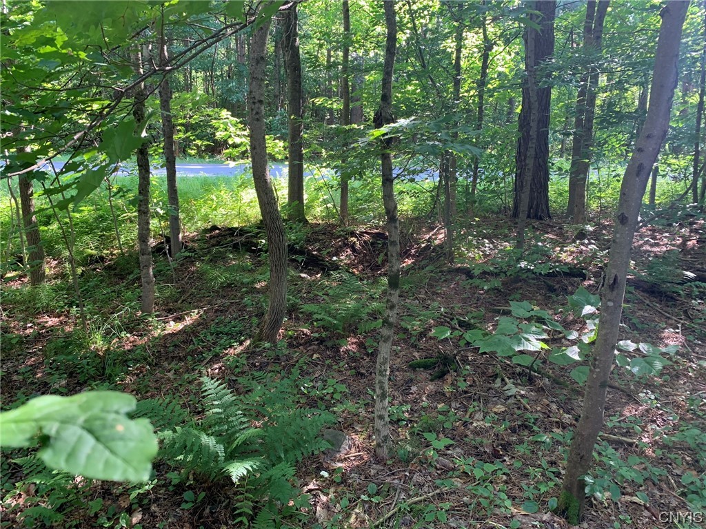 0 French Settlement Road Harrisville, NY 13648 - Photo 9 of 30 Old Dug Well Near Road