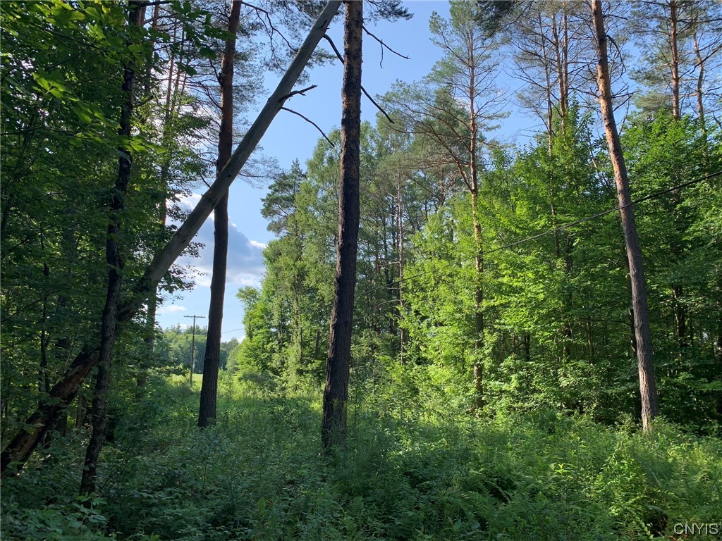 0 French Settlement Road Harrisville, NY 13648 - Photo 10 of 30 Electric Utility Right of Way