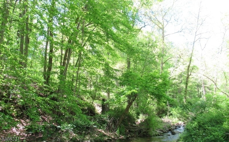 0 Sweet Hollow Road Milford, NJ 08848 - Photo 13 of 14