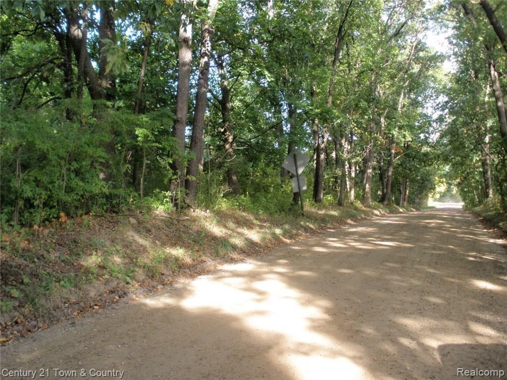 Vacant Sawmill Lake Road Goodrich, MI 48438 - Photo 1 of 9