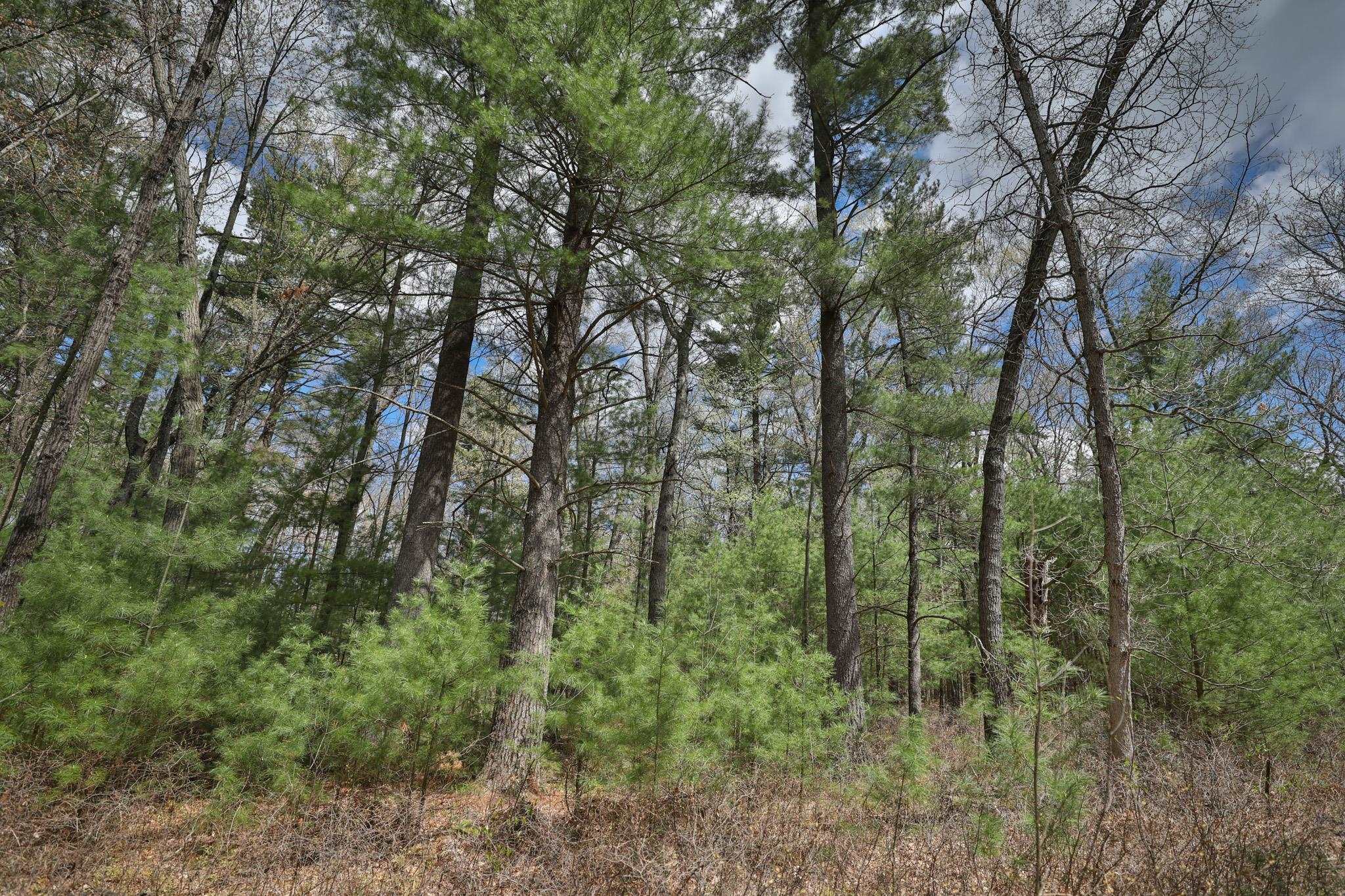 Lot 4 Grayling Tomah, WI 54660 - Photo 39 of 50