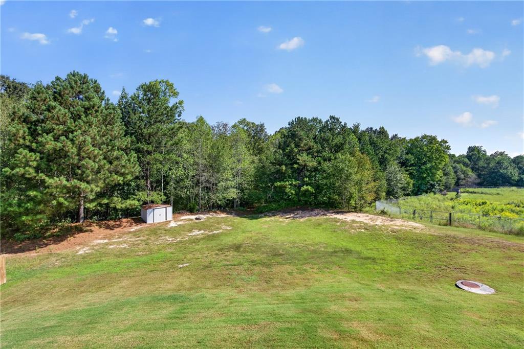 1690 Dillard Way Bethlehem, GA 30620 - Photo 60 of 71 Gallery Image 60