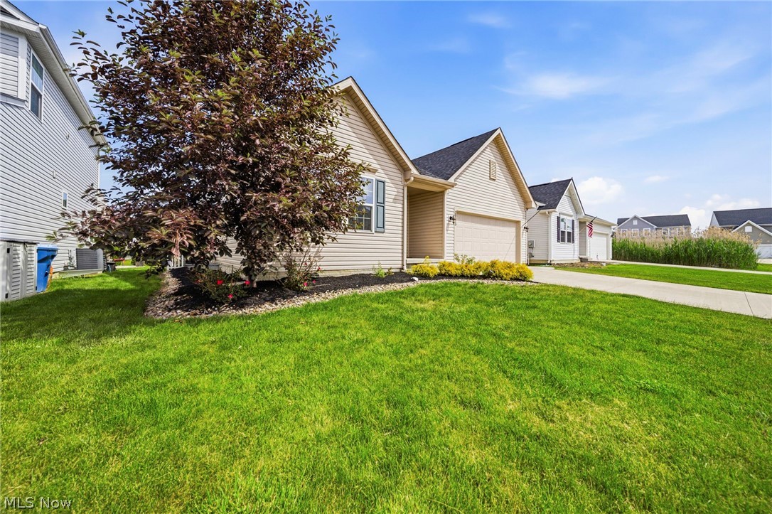 38573 Ranally Way Willoughby, OH 44094 - Photo 2 of 32