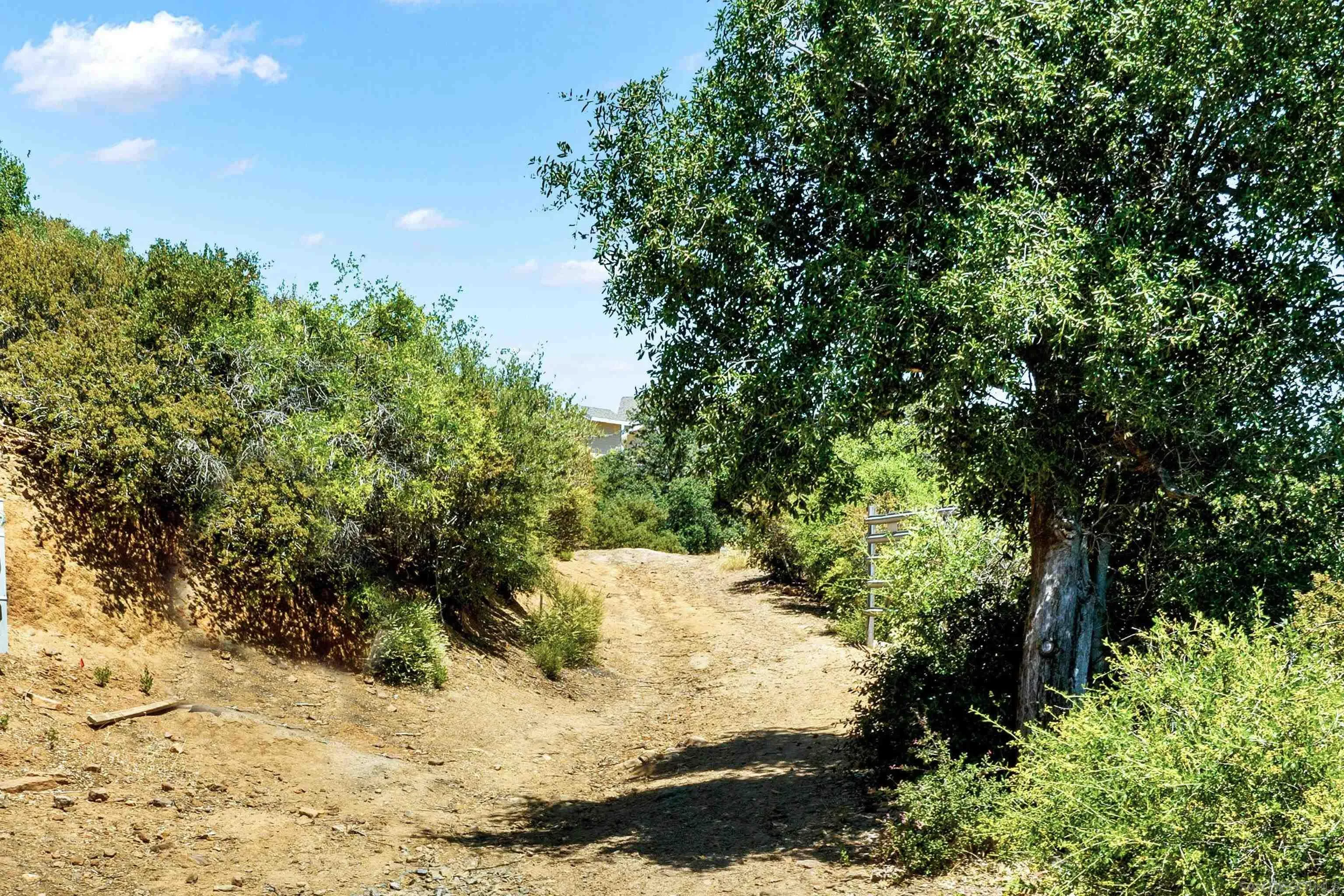 a view of a yard with a tree