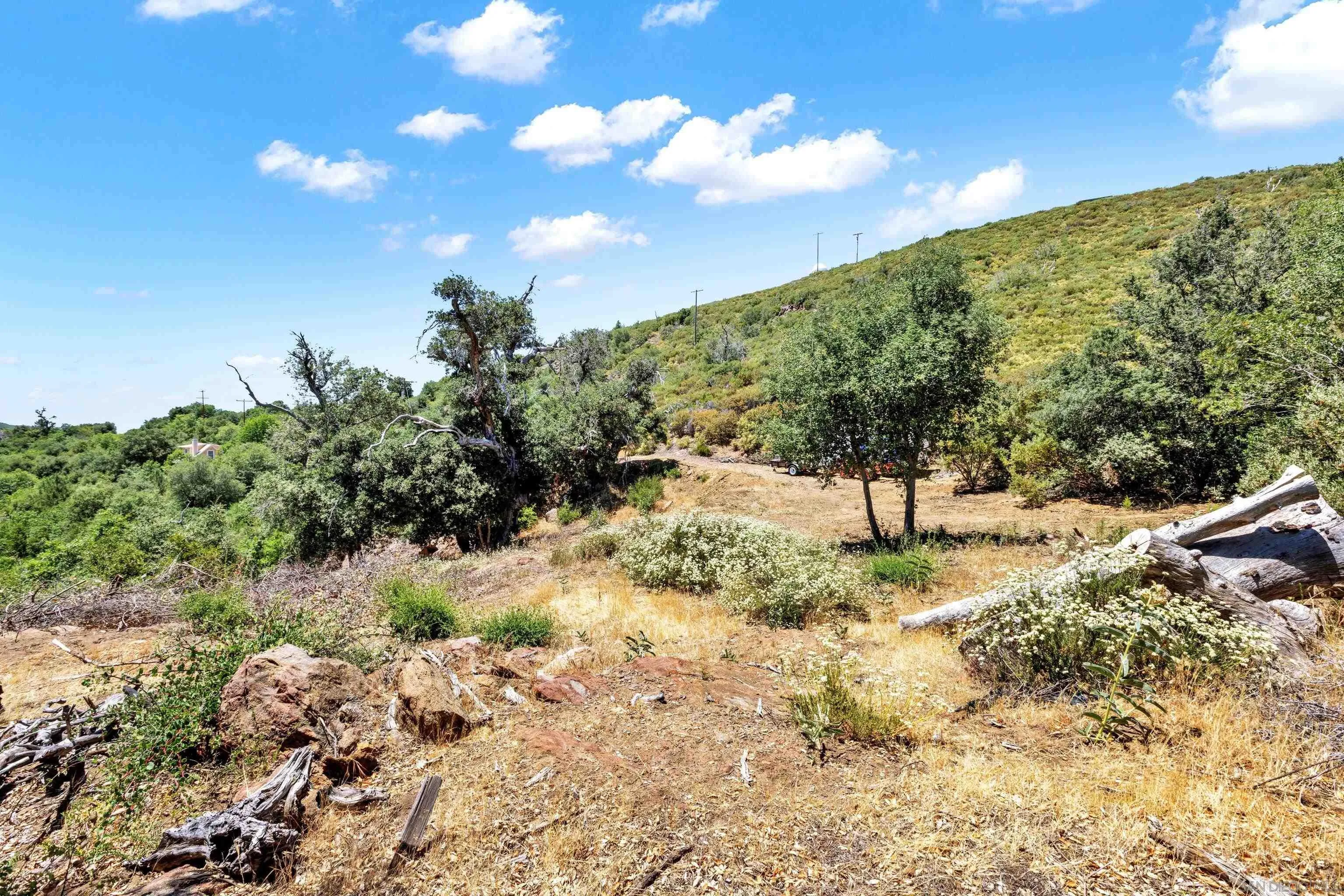 0 Mile High Road Julian, CA 92036 - Photo 12 of 16 a view of a yard with a tree