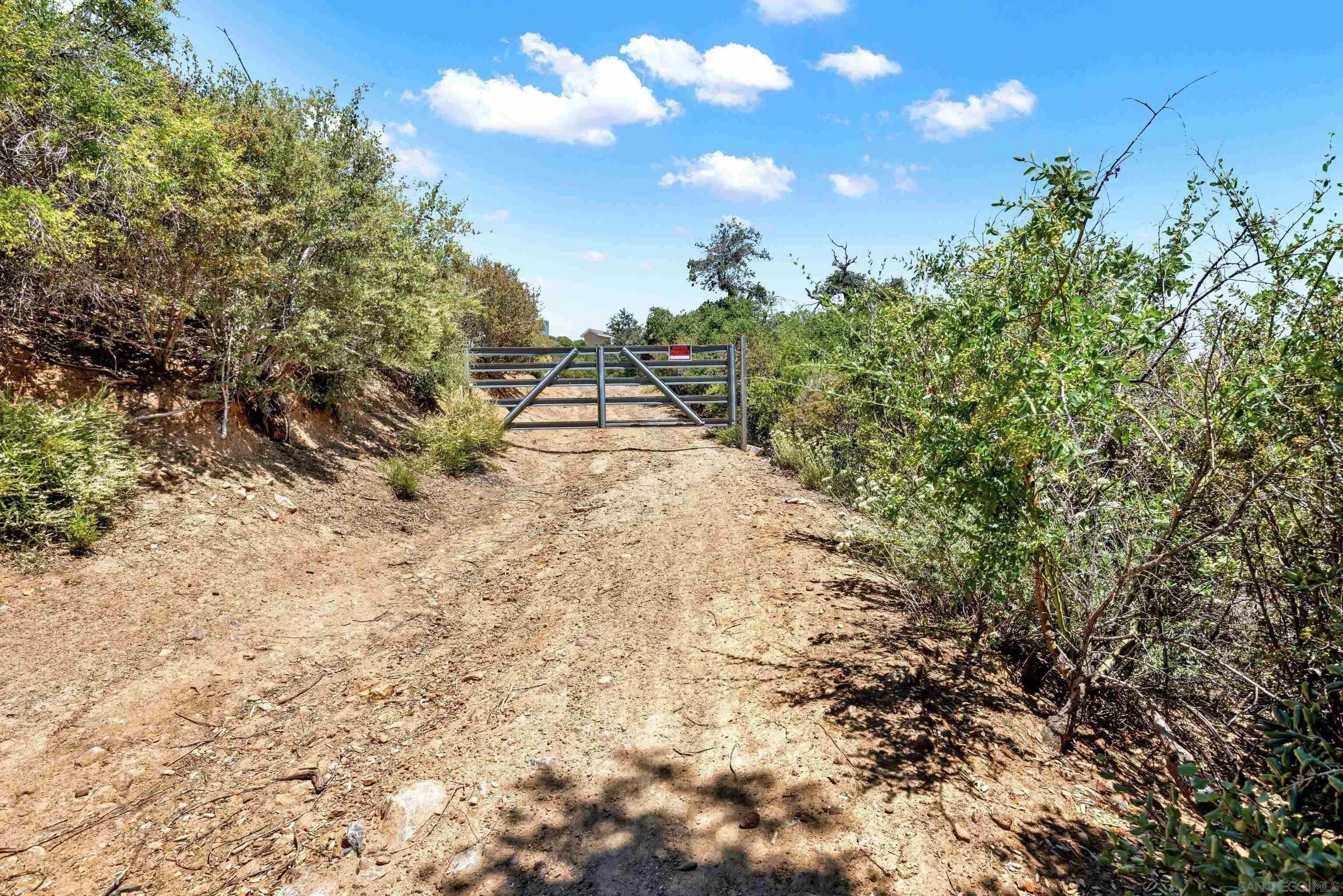 0 Mile High Road Julian, CA 92036 - Photo 3 of 16 a view of a yard with plants and tree
