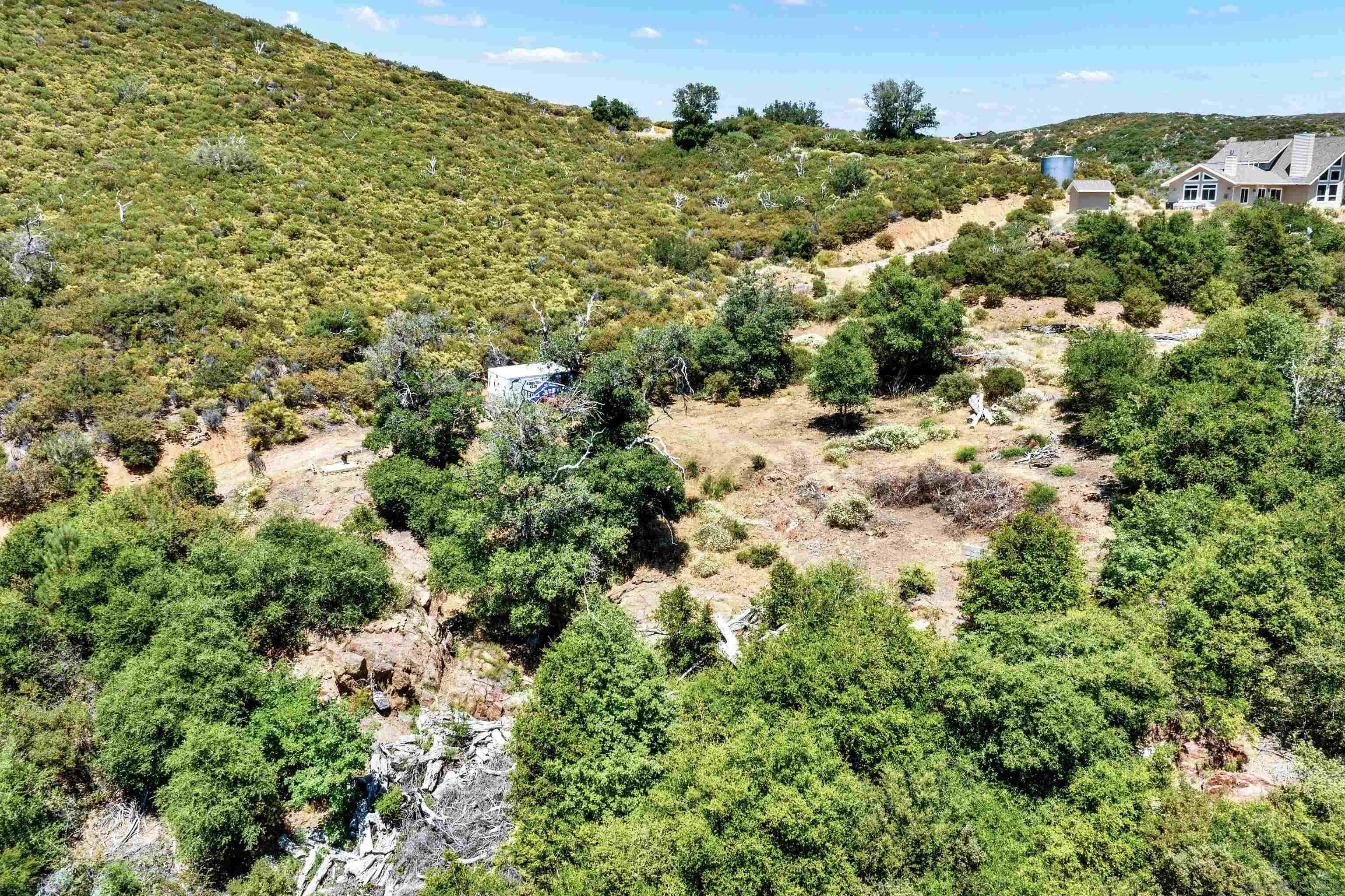 0 Mile High Road Julian, CA 92036 - Photo 8 of 16 a view of a bunch of trees and bushes