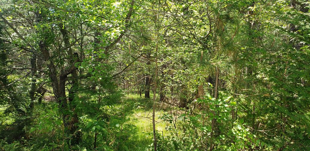 Lot #5 County Rd NP Ellison Bay, WI 54210 - Photo 1 of 1