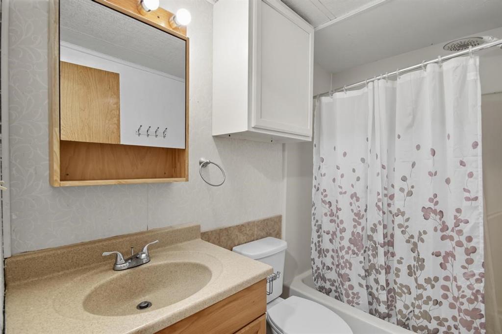 413 Charnel Street Clyde, TX 79510 - Photo 18 of 31 a bathroom with a sink toilet and mirror