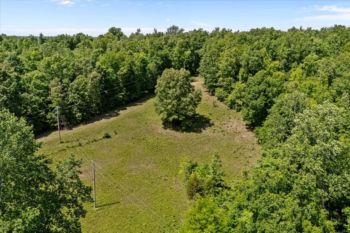 254 Shiloh Hollow Road Erin, TN 37061 - Photo 56 of 63