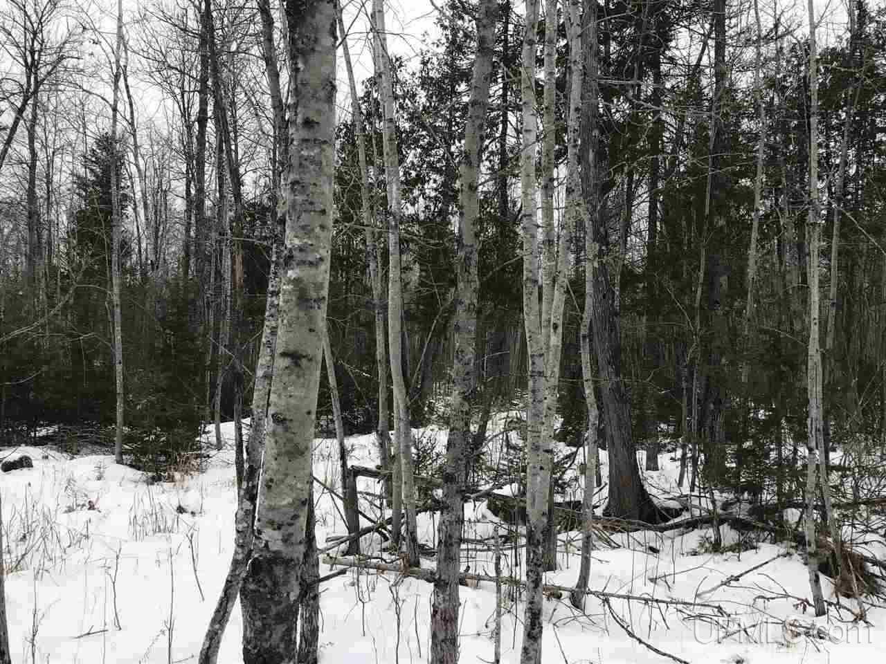 Tbd Swamp Road Powers, MI 49874 - Photo 8 of 30