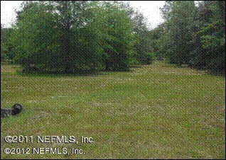 1661 Brangus Road Middleburg, FL 32068 - Photo 6 of 6 Back yard over 2 acres