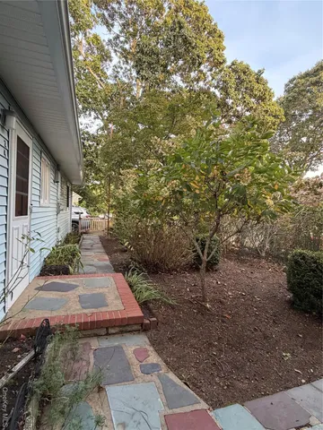a view of a backyard with plants and large trees