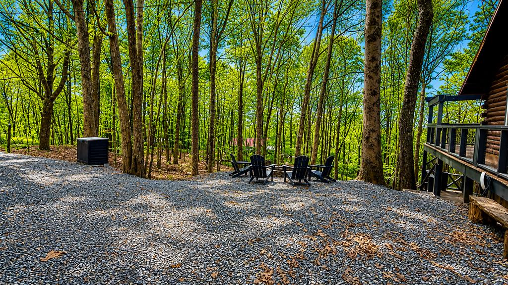 325 Pettit Ridge Road Ellijay, GA 30536 - Photo 10 of 48 Gallery Image 10