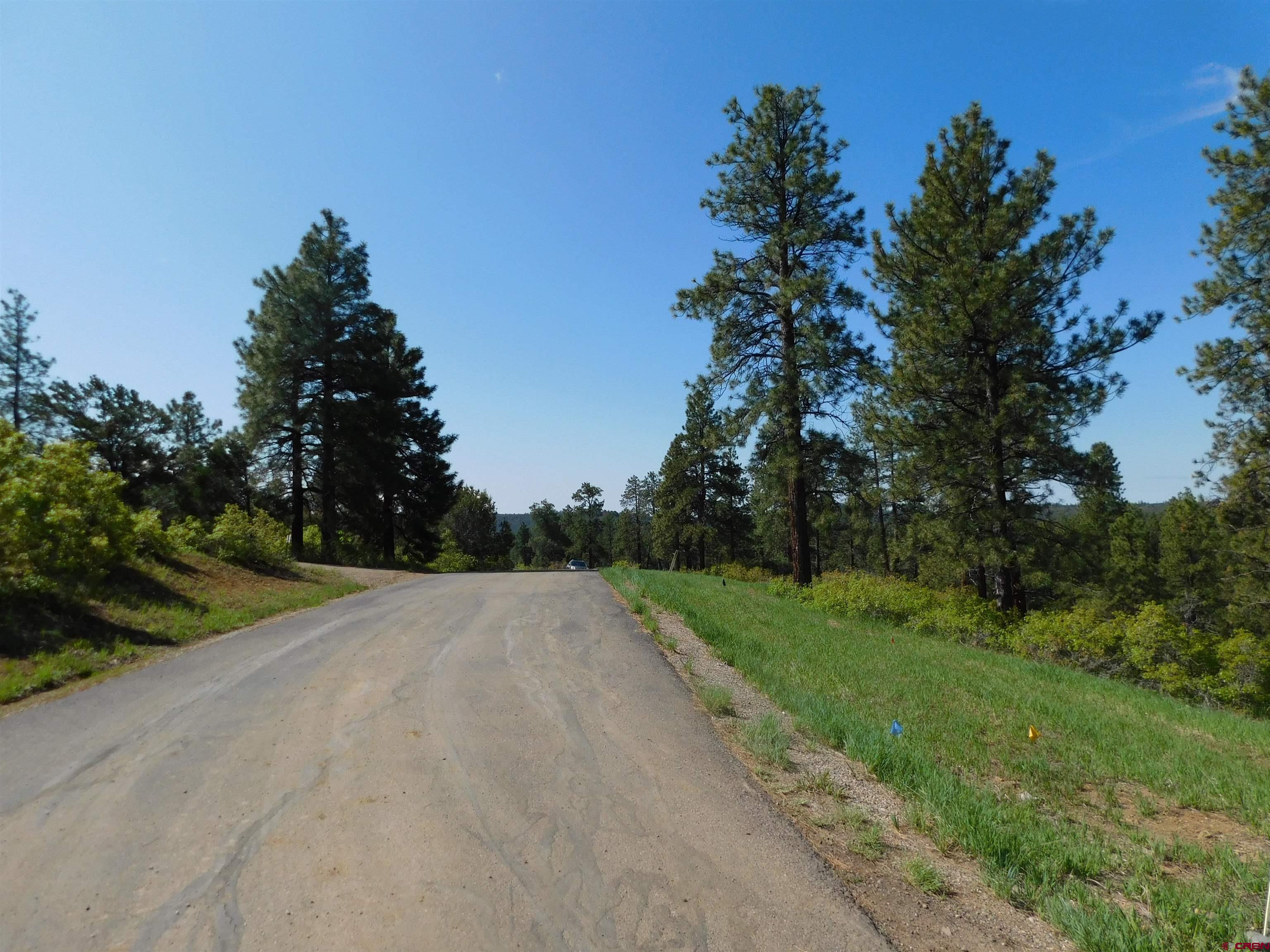 1689 Bald Eagle Road Bayfield, CO 81122 - Photo 15 of 15 a view of a road with a yard and trees in the background