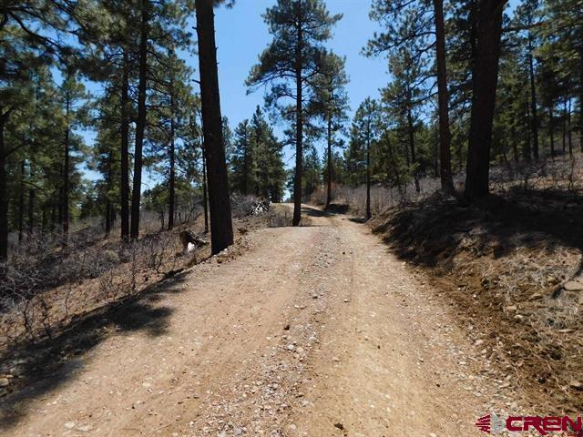 1689 Bald Eagle Road Bayfield, CO 81122 - Photo 2 of 15 a street view covered with snow