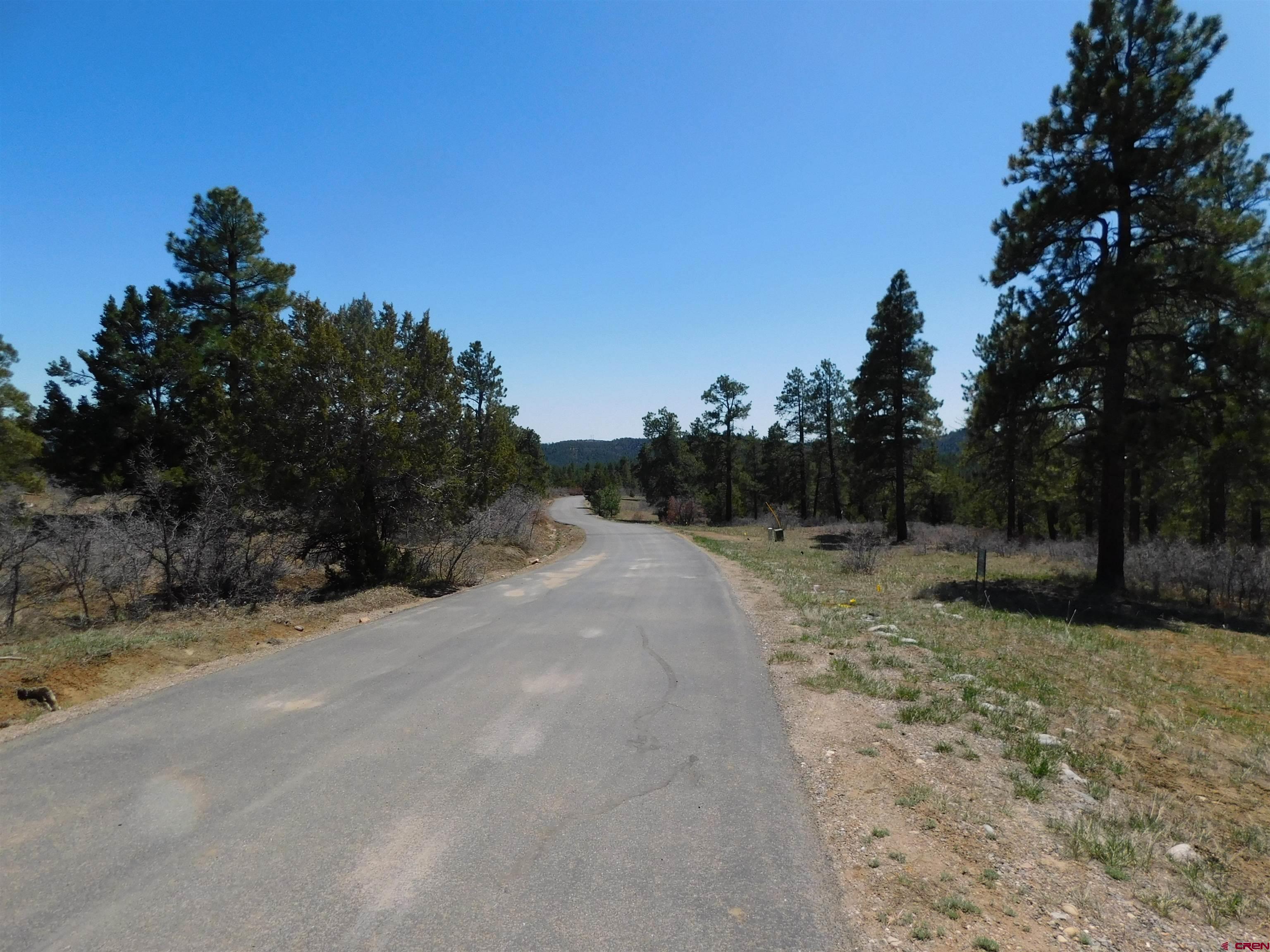 1689 Bald Eagle Road Bayfield, CO 81122 - Photo 6 of 15 a pathway of a yard