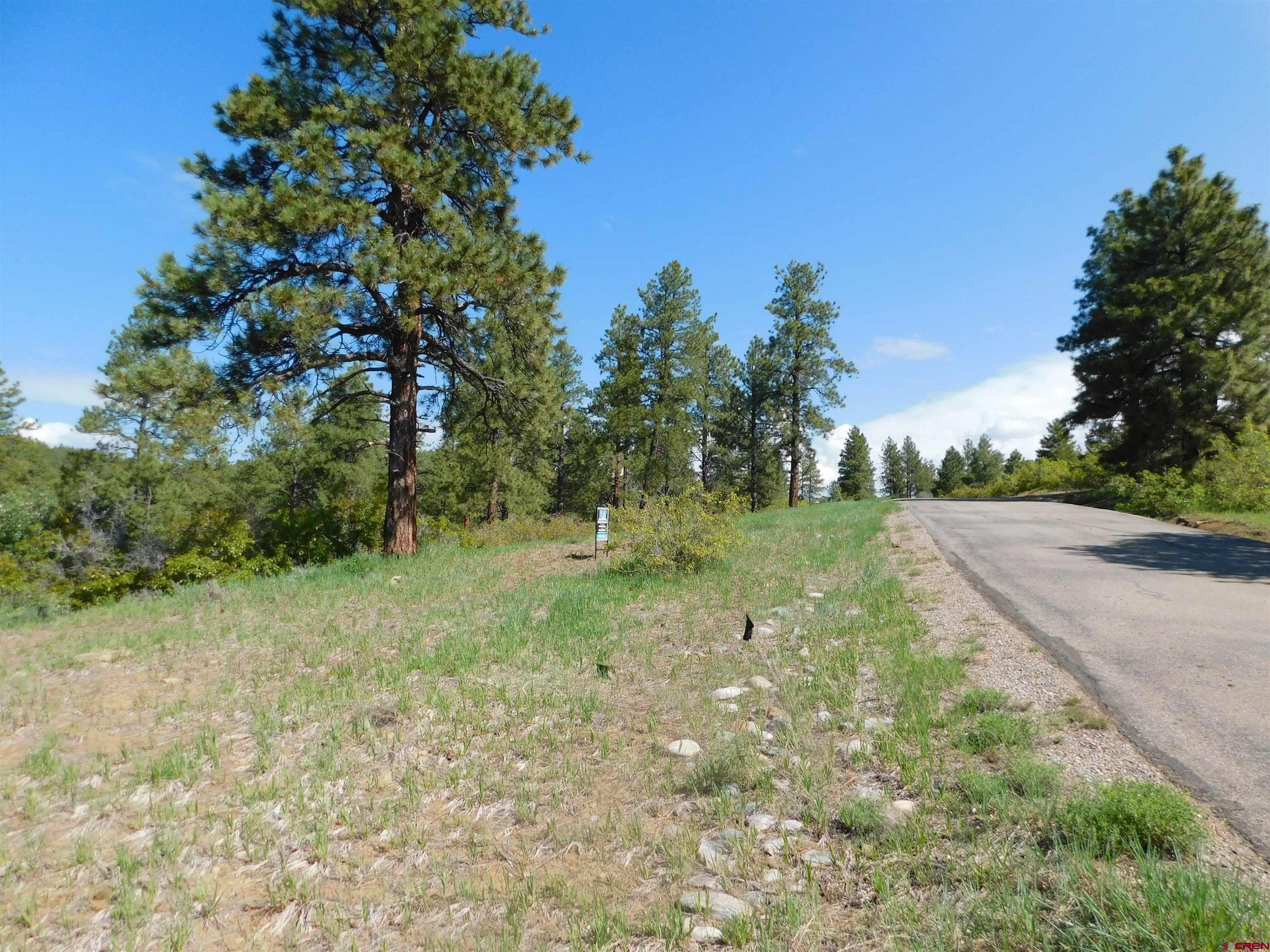 1689 Bald Eagle Road Bayfield, CO 81122 - Photo 7 of 15 a big yard with lots of green space