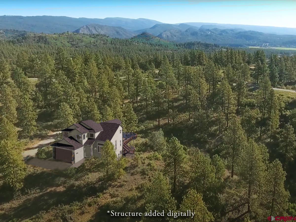 1689 Bald Eagle Road Bayfield, CO 81122 - Photo 9 of 15 a view of a forest with a lake