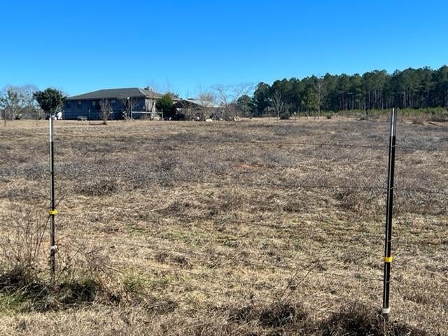 26541 Old Boggy Road Opp, AL 36467 - Photo 20 of 50 Gallery Image 20