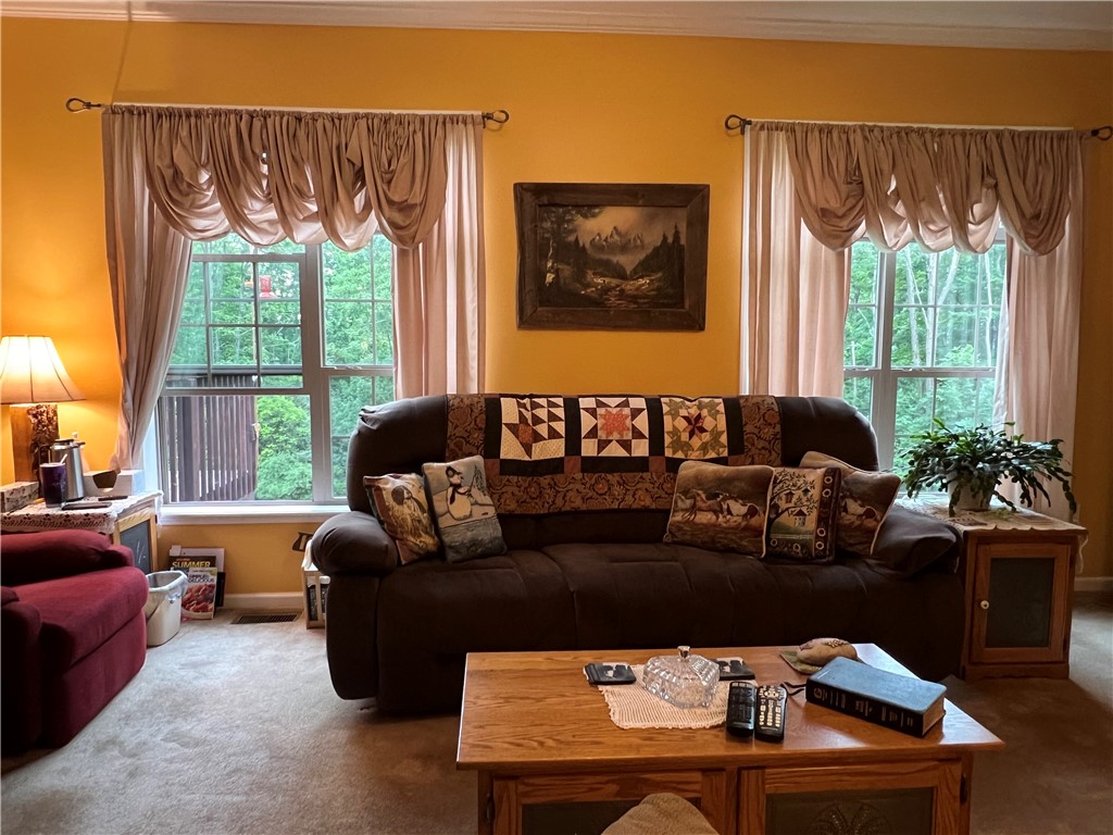 332 Vanderhoff Road Catlin, NY 14864 - Photo 21 of 50