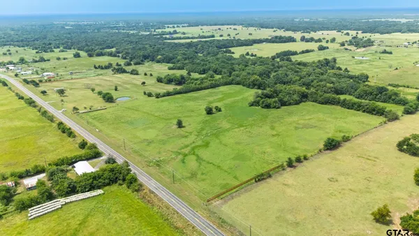 a view of a city with lush green forest