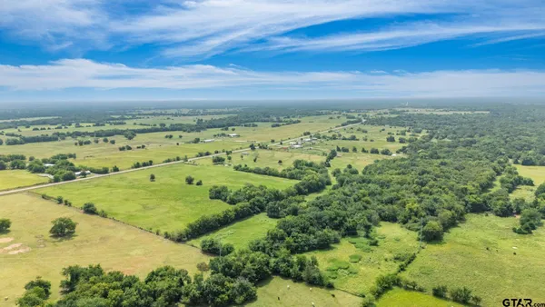 a view of a big yard with lots of green space
