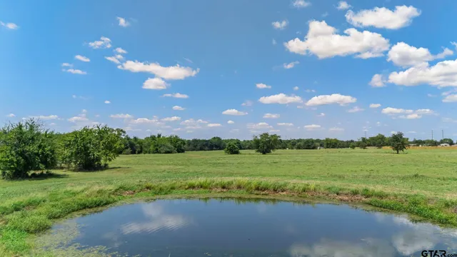 a view of a golf course with a lake