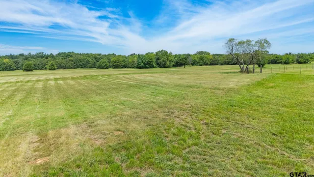 a view of a big yard with large trees