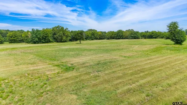 a view of field with tall trees