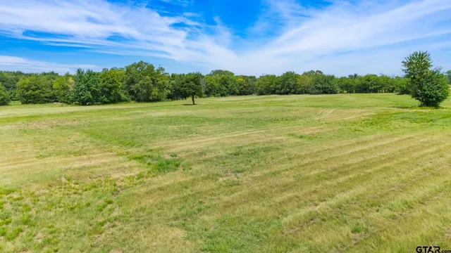 a view of field with tall trees