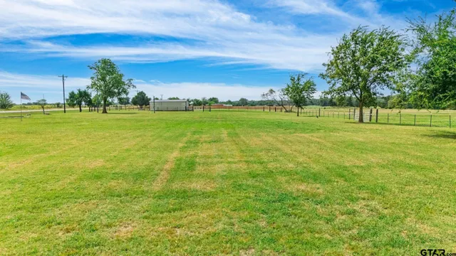 a view of a yard with a tree
