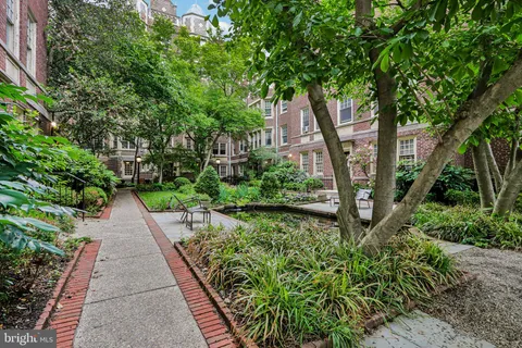 a view of a pathway with plants