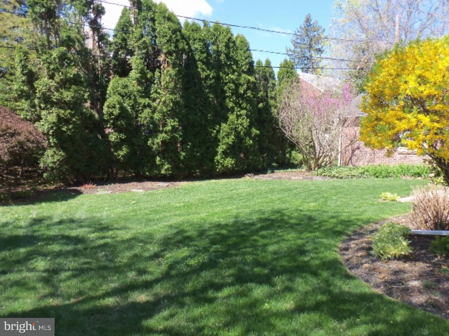 748 West Springfield Road Springfield, PA 19064 - Photo 5 of 25 Back Yard