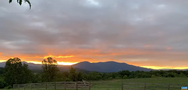 a view of a tree in a field