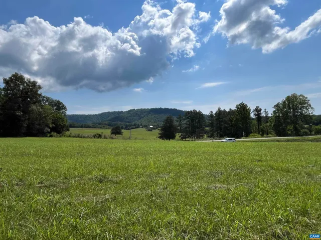 a view of a big yard with plants and a garden