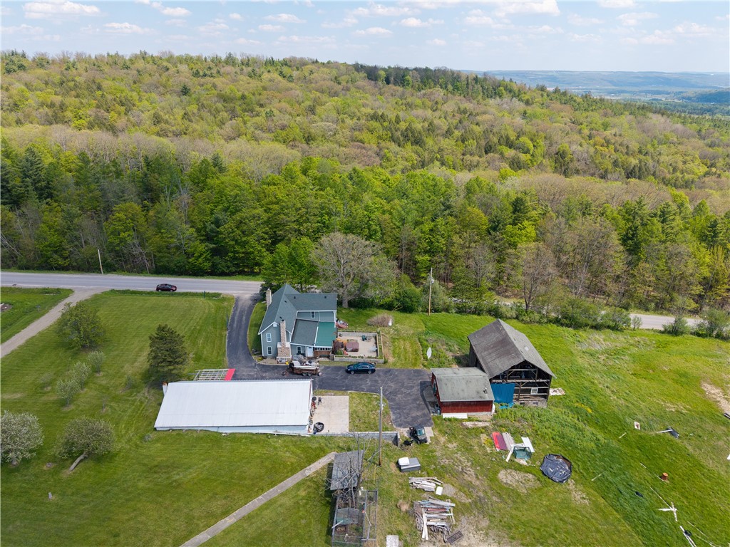 11288 Scott Hill Road Dansville, NY 14437 - Photo 41 of 46